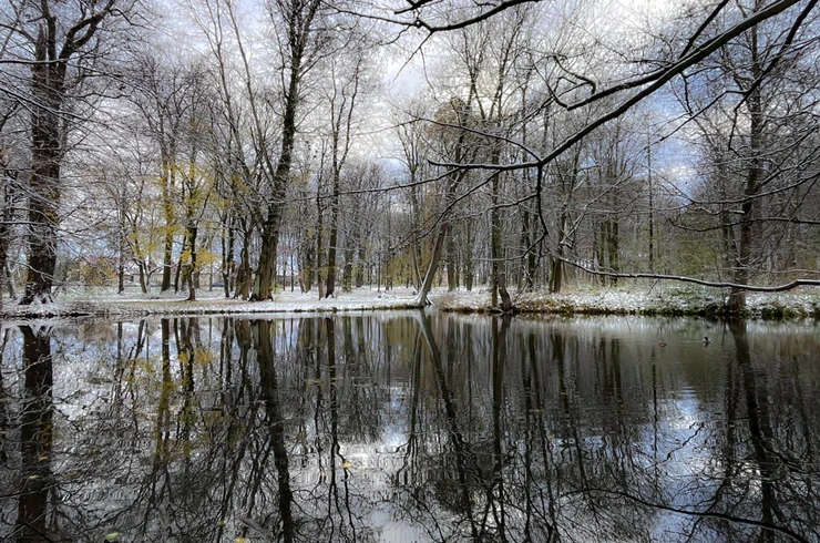 Rzeszów - Zima 2023. Pierwszy śnieg w Rzeszowie [Park im. Szafera]